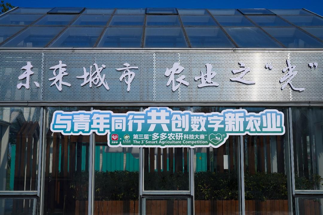 拼多多投入千亿扶持商家，深化合作共创未来新篇章