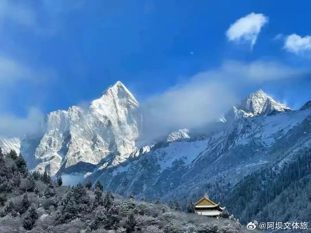 资讯 第441页