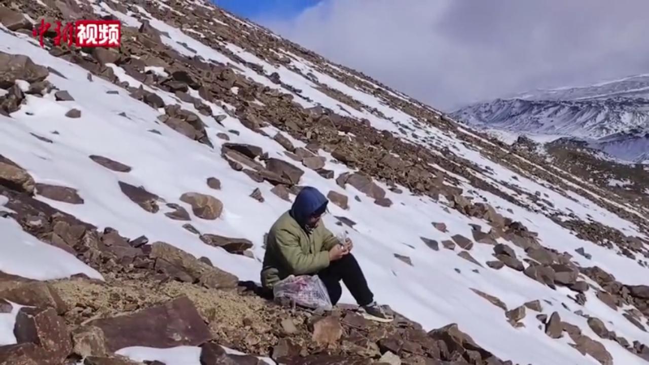昆仑之巅卧龙岗气象站点成功建立与探索之旅，海拔最高站点揭秘