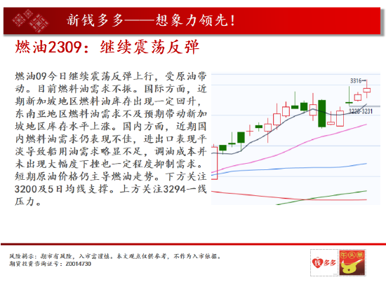 香港中福期货黄金保价的风险解析与应对策略