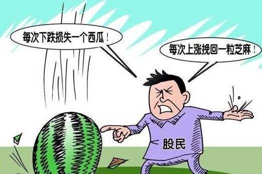 看点 第371页
