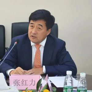 中国工商银行原党委委员、副行长张红力被捕，金融反腐持续加强力度