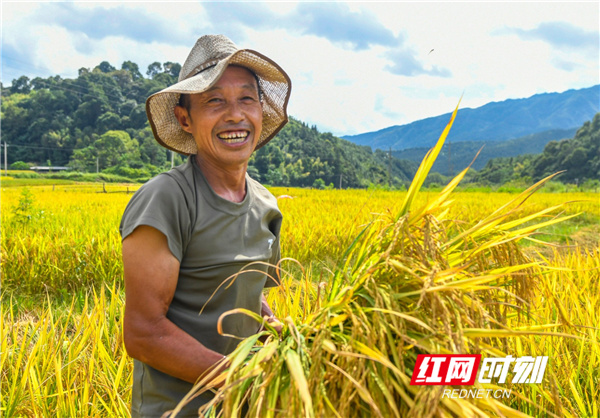 追梦稻田，三湘大地的兴农人之旅