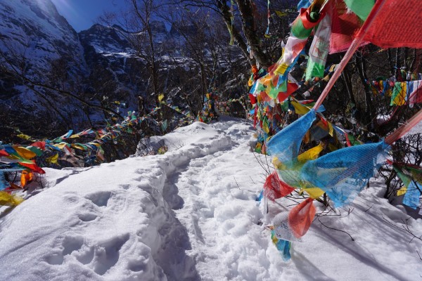 云南雨崩景区雪崩惊魂，游客尖叫躲避瞬间