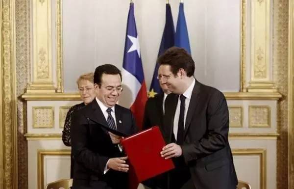 南非总统与王毅部长国花照片前的友好会面