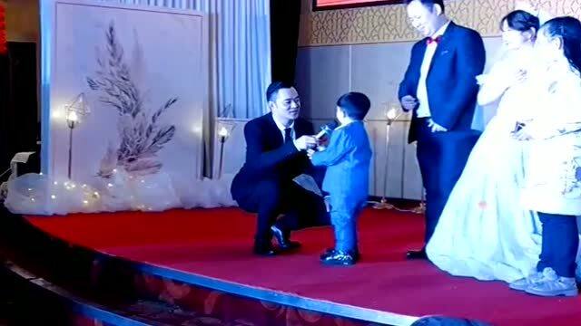 婚礼裂痕，新郎卑微言辞中的决绝之语