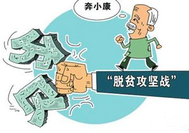 看点 第338页