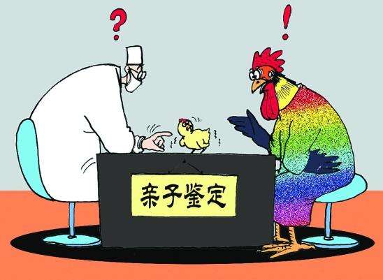 遗产继承前的亲子鉴定，权衡理解与尊重的挑战