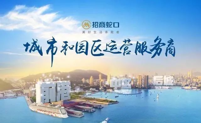 招商蛇口股票，深度解析与发展展望分析