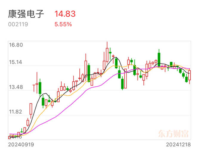 康强电子，科技领航，塑造行业未来新篇章