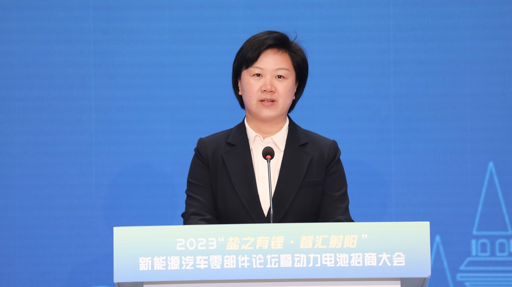 合肥新能源汽车产业蓬勃发展，副市长王海霞揭示产业首位地位及全国第二产量成就标题，合肥新能源汽车产业崛起，领跑全国产量位列第二