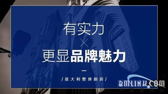 欧迪玛品牌实力全方位解析与未来发展规划展望