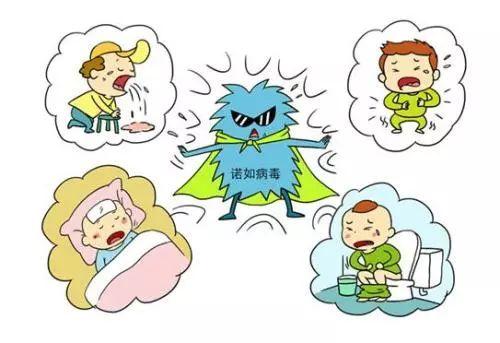 诺如病毒特点与影响概述