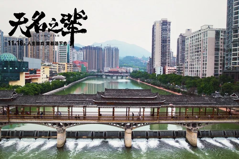 江苏舜天，探寻卓越之路的足迹