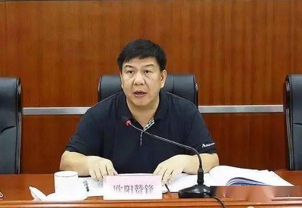 广西合浦县委书记王川被查，反腐风暴与地方治理新篇章开启