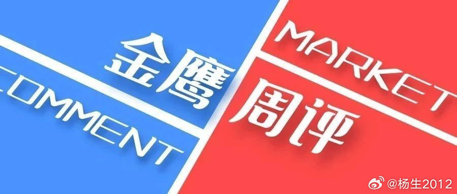 金鸿评论，深度分析与独到见解的探讨