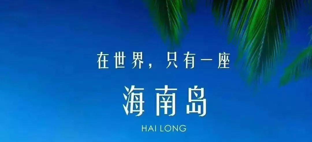 最新 第317页