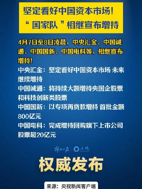 国家队增持引领产业革新篇章