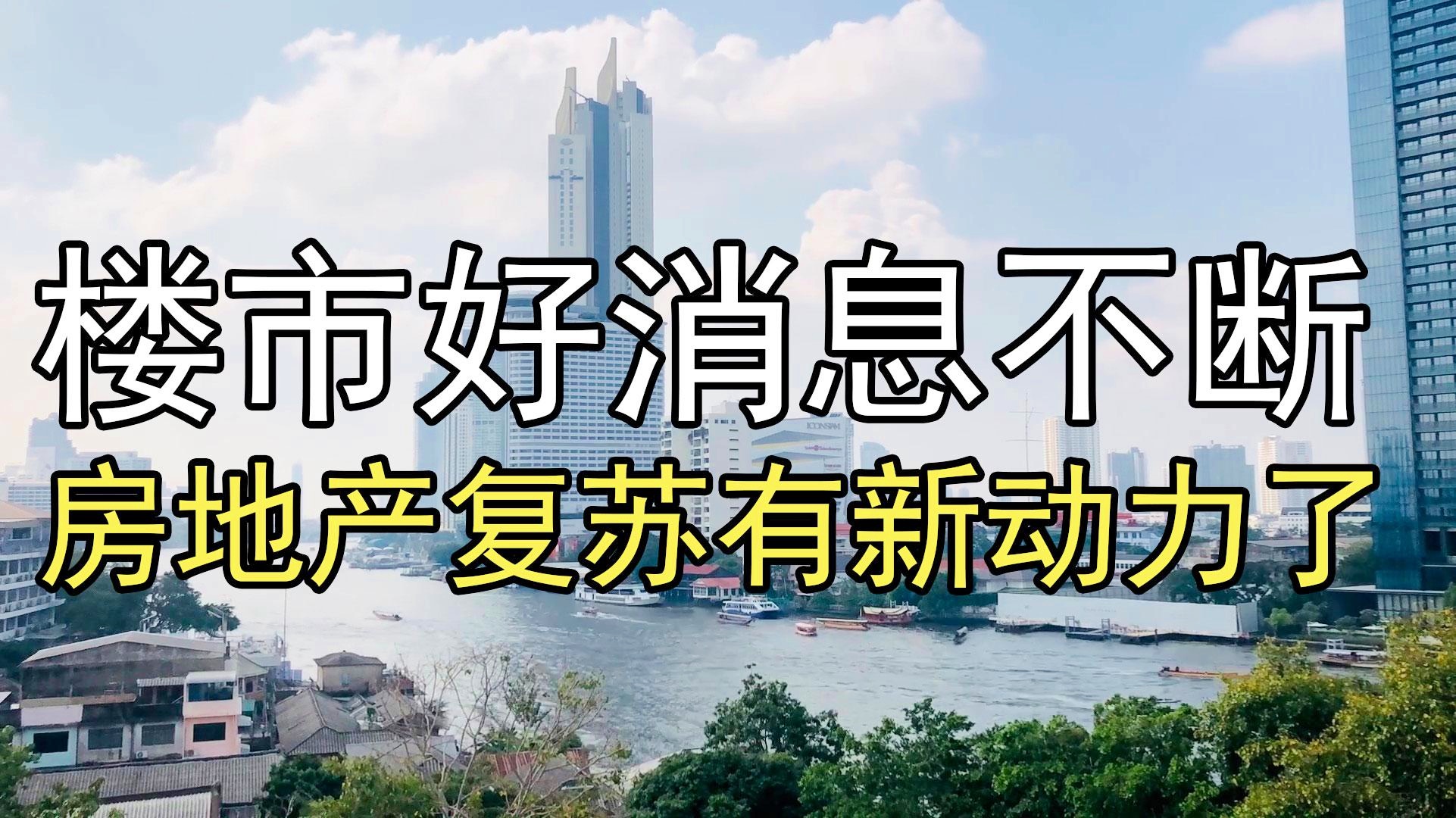新力地产最新消息全面解读