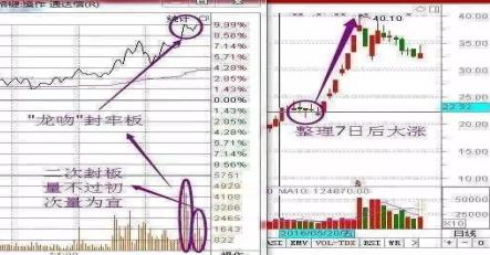 深度解析，千股千评中的独特价值探寻——聚焦股市中的600031股票