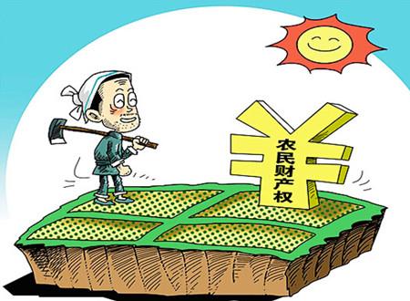 专家解读，增加农民收入的途径与策略