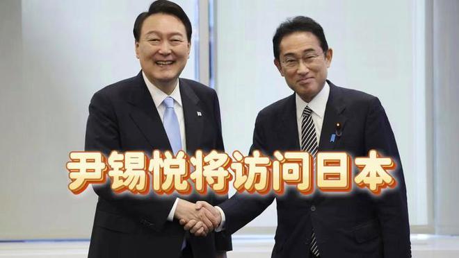 尹锡悦支持率回升至40%背后的深度解析与原因探究