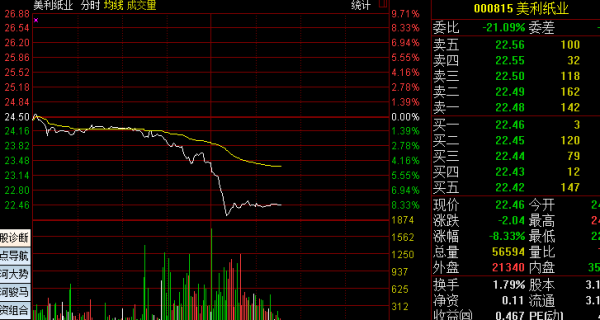 美利纸业股吧，行业趋势与未来发展深度探讨