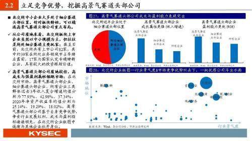 胜龙国际积极回购展现信心与策略调整双重效应的成果展望