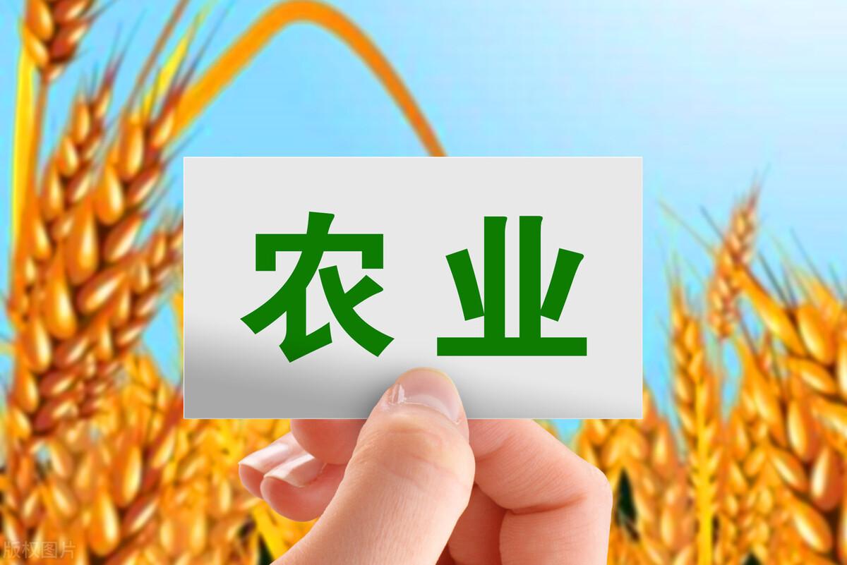 登海种业股吧，农业先锋力量的探索之旅