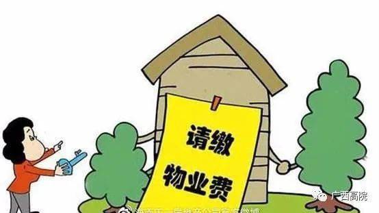 乌龙法拍与空置房产的遭遇风波