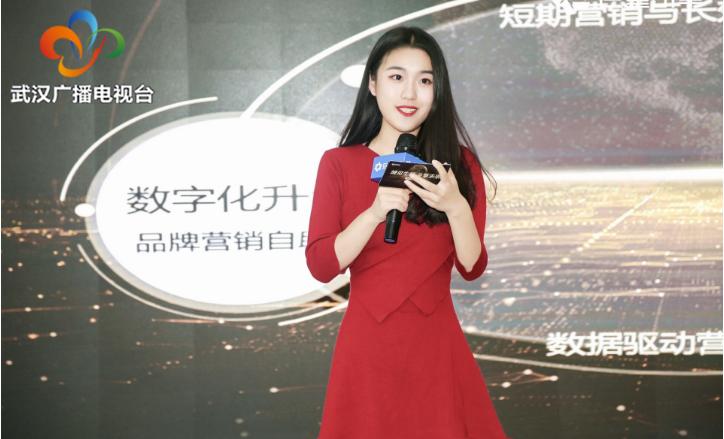 湖北能源，区域能源转型的先锋引领者