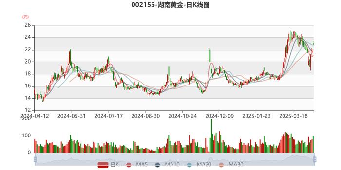 看点 第303页