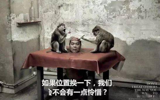 野猴下山偷菜引发围观，人与自然和谐共处引深思