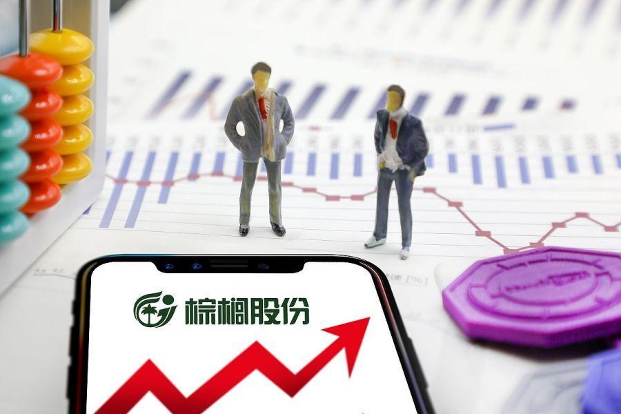 棕榈股份深度解析及前景展望——股吧热议话题