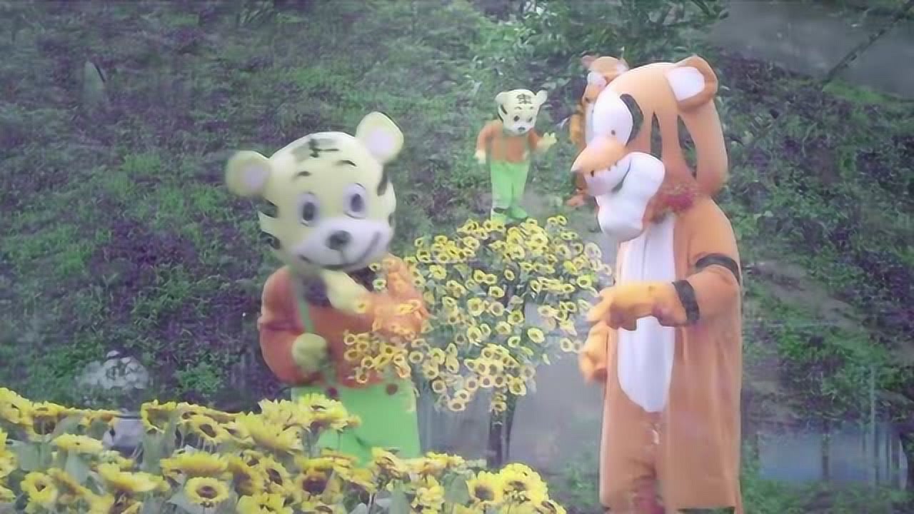 资讯 第306页