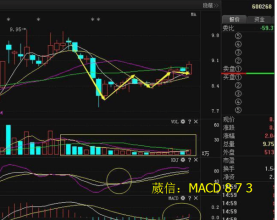海鸥住工业绩逆袭，股价翻倍背后的六连板与跌停波折