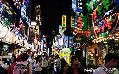 上海遇见懂它的韩国人