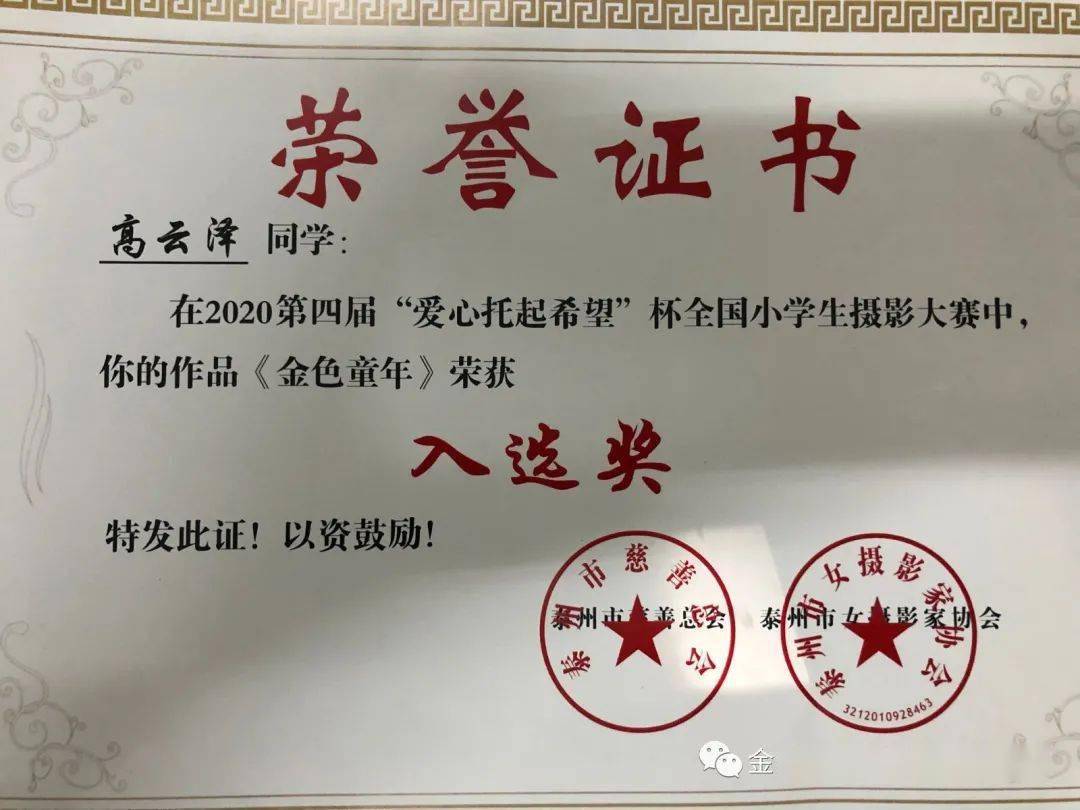 鹏华丰收季，累累硕果映辉煌成就