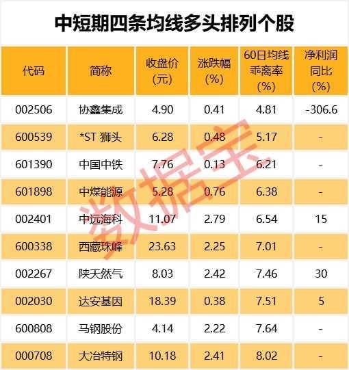 ST狮头股票，市场焦点下的投资策略探讨