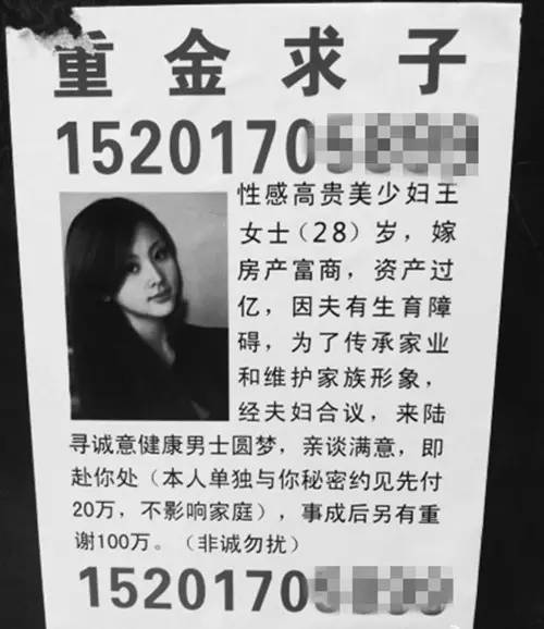 烟台街头再现甲鱼骗术背后的故事与教训揭秘