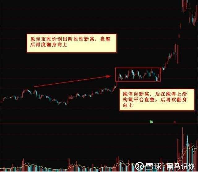雷尔伟高送转现象，连续阳线上升的深度解析与独特特征探讨