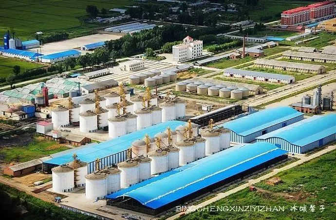 甘咨询子公司成功中标国家粮仓项目，实力与信誉的双重验证