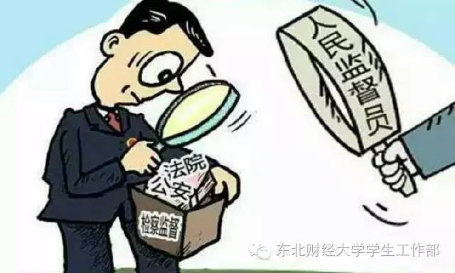 揭秘2024年最后一虎撤职事件，权力与责任的深度反思