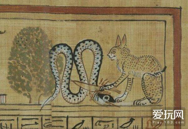 古代壁画中的十二生肖图，猫之神秘与蛇的缺席探索