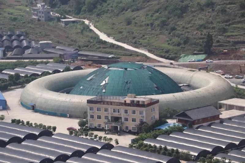 神农集团，引领农业变革，塑造未来农业生态