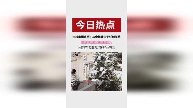 中核钛白，钛白产业的先锋领航者