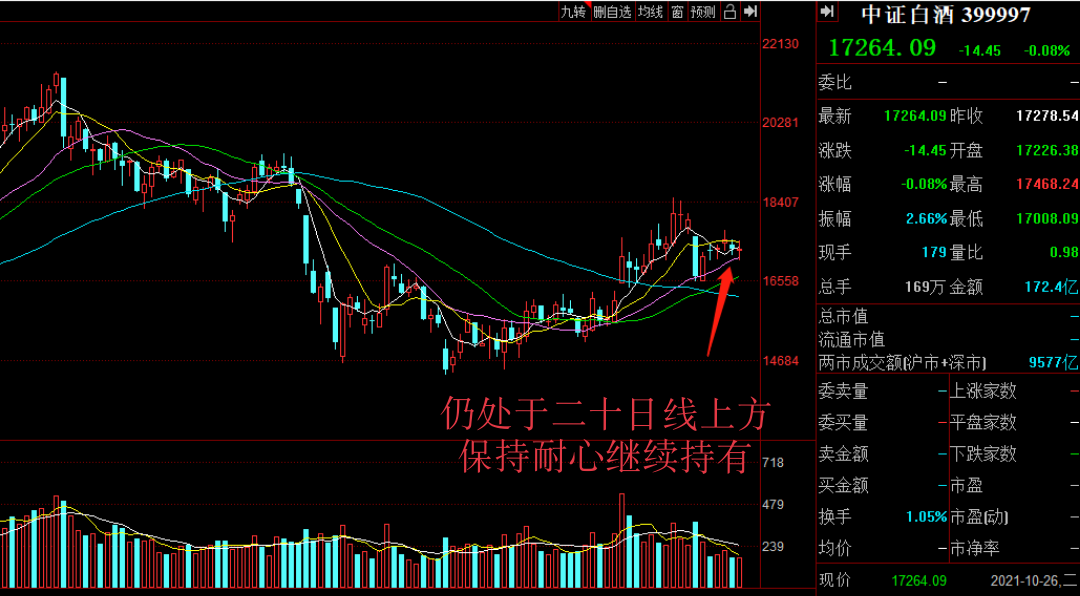 东方财富股吧，中国股市新视界探索