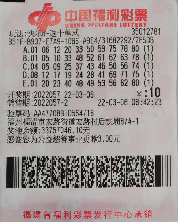 宏路数据力量，重塑数字时代未来之路