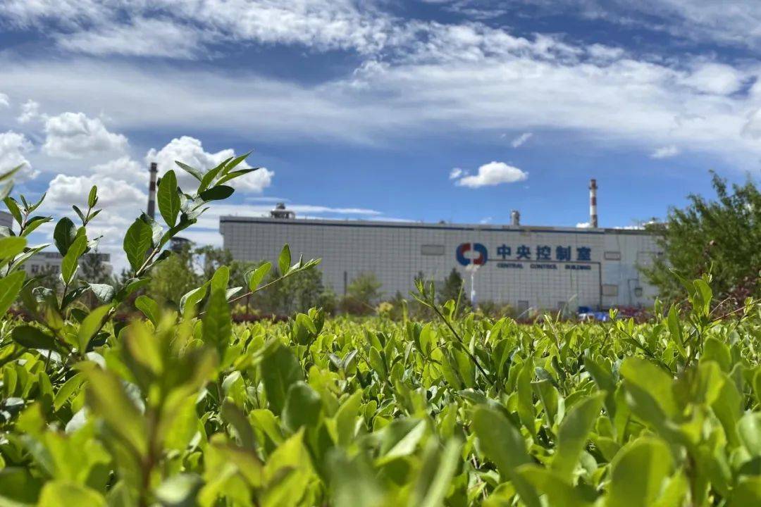 环保股份，绿色先锋，引领发展之路