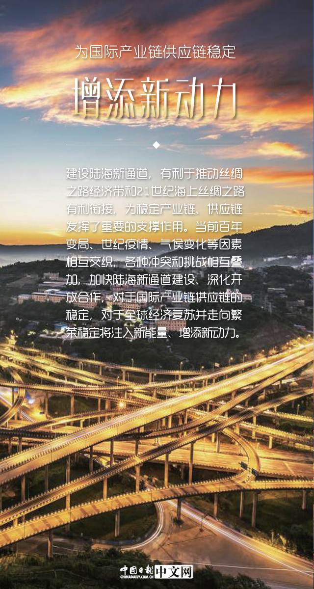 国泰金马稳健，投资之道与稳健之路的探索